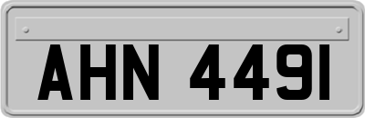 AHN4491