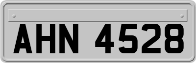 AHN4528