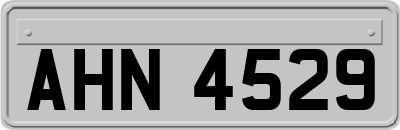 AHN4529