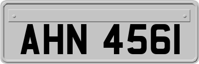 AHN4561