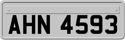 AHN4593
