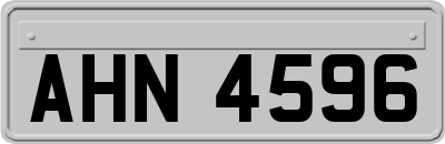 AHN4596