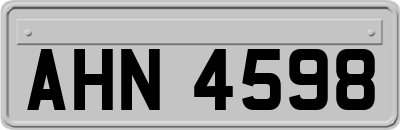 AHN4598