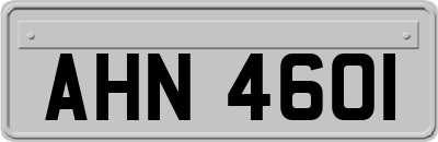 AHN4601
