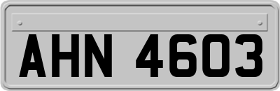 AHN4603
