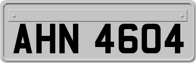 AHN4604