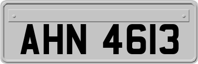 AHN4613