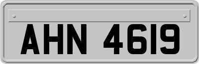 AHN4619