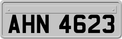 AHN4623