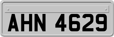 AHN4629