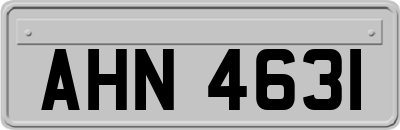 AHN4631