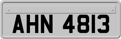 AHN4813