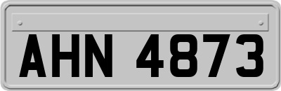 AHN4873