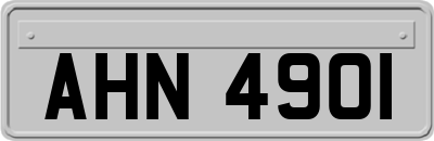 AHN4901