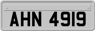 AHN4919
