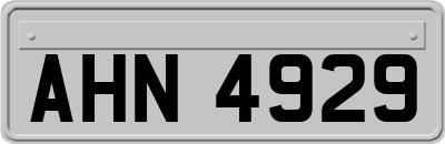 AHN4929