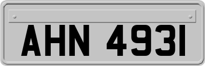AHN4931