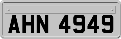 AHN4949