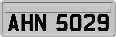 AHN5029