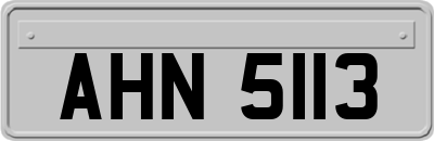 AHN5113