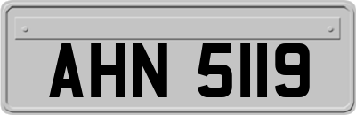 AHN5119