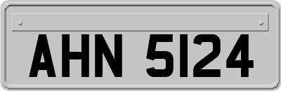 AHN5124