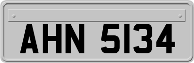 AHN5134