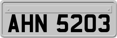 AHN5203