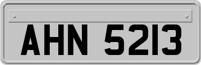 AHN5213