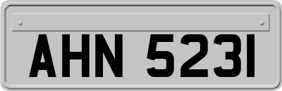 AHN5231