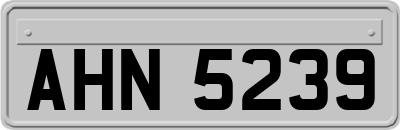 AHN5239