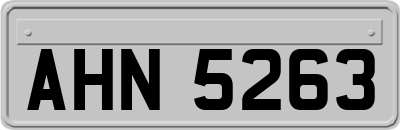AHN5263
