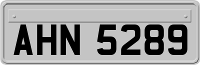 AHN5289