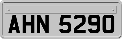 AHN5290