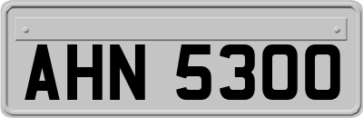 AHN5300