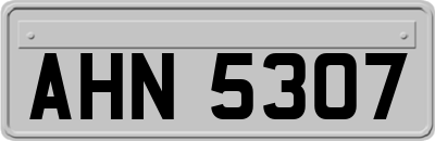 AHN5307