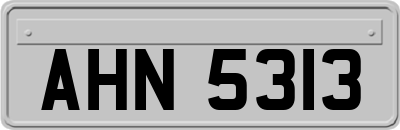 AHN5313