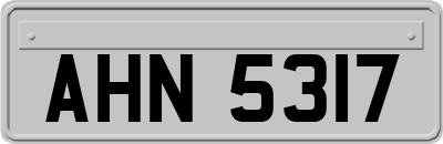 AHN5317