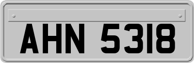 AHN5318