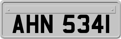 AHN5341