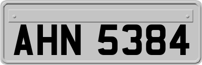 AHN5384
