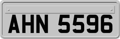 AHN5596