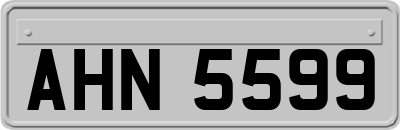 AHN5599