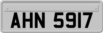 AHN5917