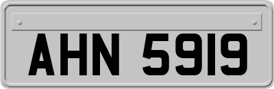 AHN5919