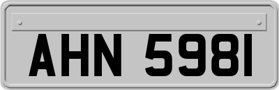 AHN5981