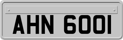 AHN6001