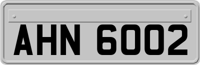 AHN6002
