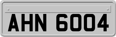 AHN6004