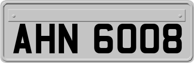 AHN6008